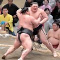 天覧相撲で２横綱２大関総崩れ　結びの一番で大の里が完敗　１敗トップは霧島、阿炎の２人に