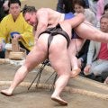 新大関・安青錦、霧島との１敗対戦に敗れる　過去３戦全勝の相手に初黒星