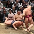 天覧相撲で横綱、大関がまさかの全滅　横綱豊昇龍「全員負けじゃねーか！」自身敗戦直後に大の里も敗れ驚く　粂川審判長もあ然「びっくりした」