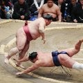天覧相撲で２横綱２大関「総崩れ」の大波乱、天皇皇后両陛下と愛子さまは健闘の力士に笑顔で拍手
