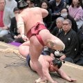 大栄翔が豊昇龍から金星　土俵際で逆転勝ち　「勝つことが大事」