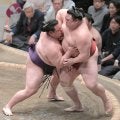 美ノ海が５勝目　愛子さまの愛猫と「同じ名前だと思ってくださったかもしれない」
