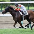 【小倉牝馬S登録馬】ココナッツブラウンなど23頭