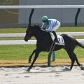 【船橋・ブルーバードC枠順】連勝中のカタリテは5枠7番、前走で大差勝ちのフィンガーは8枠13番