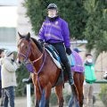 【ＡＪＣＣ・浅子の特注馬】ディマイザキッドの前走は距離短縮で反撃　５馬身差圧勝の舞台で重賞初制覇へ