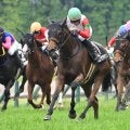 【小倉牝馬S見どころ】実績上位のココナッツブラウンに注目