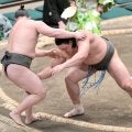 幕下付け出しの和歌ノ富士が勝ち越し　「自分的にはまだまだこれから。あと２番勝って、楽しく終わりたい」