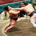 十両経験がある三段目の生田目が５連勝　復帰場所に「感覚が戻ってくる。荒治療みたいなもの」