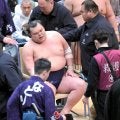 栃大海、右膝を負傷し立ち上がれず　車いすで花道を下がり相撲診療所へ