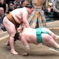 王鵬が祖父の大横綱・大鵬さんの命日を勝利で飾る　一山本に勝ち、４勝目