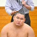 豊昇龍が今場所３つ目の金星配給で痛恨連敗　八角理事長苦言「こういう相撲を取っていたら横綱として優勝できない」