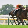 【小倉牝馬S展望】GI善戦のジョスランが主役