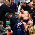 十両栃大海が休場　右膝内側側副靱帯損傷、９日目の藤凌駕戦で痛める