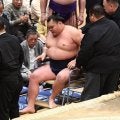 栃大海「右膝内側側副靱帯損傷」で休場、９１年続く春日野部屋の関取在籍は微妙に