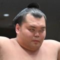 十両・栃大海が靭帯損傷で初場所休場