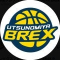 衆院選がスポーツ界直撃「辛すぎ」Ｂリーグ宇都宮が本拠地使用不可に…２・８長崎戦は「協議中」