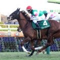 【注目馬動向】京成杯制したグリーンエナジーは皐月賞が本線