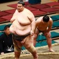 106キロ翠河富士、252キロ出羽ノ城と対戦　体重が倍以上の相手を土俵際まで押し込む場面も