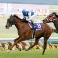 種牡馬としても活躍したＧ１・５勝ダイワメジャーが２５歳で死去　１９日に死んだダンスインザムードは２週続けてクラシックを勝った同期