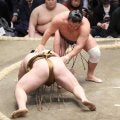 豊昇龍が連敗を止め、３敗をキープ　同期生、王鵬に勝利