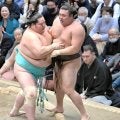 霧島が２敗に後退　１敗不在に　琴桜に敗れる