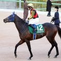 京成杯３着のソラネルマンが骨折　近日中にノーザンファーム早来へ放牧