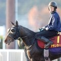 【注目馬動向】阪神ＪＦで１番人気５着のアランカールはチューリップ賞で復帰目指す