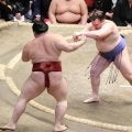 新大関・安青錦が１０日目で勝ち越し「目指しているところではない」　優勝争いでもトップタイ２敗