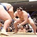 新大関安青錦が勝ち越し「５日あるので…」優勝争いトップも冷静　九重審判長「引っ張って」期待