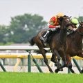 【小倉牝馬S予想オッズ】ジョスランが予想1番人気