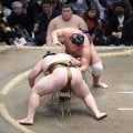 豊昇龍が連敗止めて７勝目　首位と１差も「今のところ優勝とか何も考えてない」