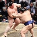 義ノ富士、高安に３連敗「突っ張りを全部受けてしまった。強いです」