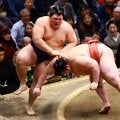 熱海富士２日連続金星　部屋の関取で最速勝ち越し　前夜は伊勢ケ浜親方に感謝の懸賞46本　