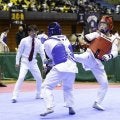 全日本テコンドー選手権でパイオニアの伊藤が優勝！ アジアパラ注目競技の現状は
