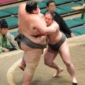 体重１４３キロ差対決　序二段・新屋敷「二番後取り直し」の末、２５２キロの出羽ノ城に勝つ