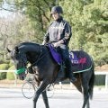 【注目馬動向】ホープフルＳ勝ち馬のロブチェンは共同通信杯から始動　春は皐月賞、日本ダービーへ向かう王道ローテ