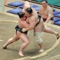 花の富士が無傷の６連勝　川副から改名した場所で三段目Ｖへ「一発目は景気よくいきたいですね」