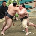東海大柔道部出身・岡田が三段目で５勝目「今場所は今までと違う感覚」　来場所は初の幕下昇進が濃厚に