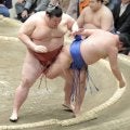 熱海富士が９連勝　藤ノ川に勝ち、２敗で首位守る　２日連続の横綱撃破で勢い