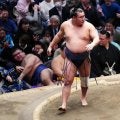 横綱豊昇龍、相性の悪い高安をとったりで下して勝ち越し　優勝争いに踏みとどまる