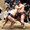 大混戦初場所Ｖ争い　２敗で安青錦、阿炎、熱海富士の３人に　霧島が大の里に敗れ３敗に後退　豊昇龍は３敗死守　高安を土俵際とったり逆転で下す