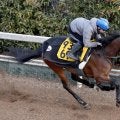 【小倉牝馬Ｓ】重賞初制覇の絶好機！３連勝中レディーヴァリューがパワフルな脚取り　小林調教師「描いていた通りの状態」