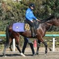 【ブルーバードＣ】覚醒した１勝馬がダート３冠路線開幕戦の主役に　前走大差勝ちのフィンガーが決める