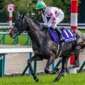 【AJCC】史上最多7勝の横山典弘騎手 マテンロウレオで4年ぶり戴冠なるか