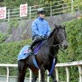 【注目馬動向・古馬】ディープモンスターはアミールＴでマーカンド騎手と初コンビ