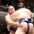 横綱豊昇龍が苦手高安を下し勝ち越し　トップと１差も「大の里の方に…」報道陣をいざなう