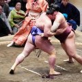 前頭欧勝海が入幕２場所目で初の勝ち越し　トップと１差のＶ争いも「考えてもしょうがない」
