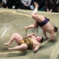 義ノ富士が６勝目　今場所は２横綱撃破も三役戦は６戦５敗と苦戦「とても勉強になった」…新三役へ残り４日「まずは勝ち越し」