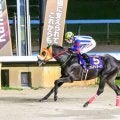 【金沢競馬】2025年度の年度代表馬にエムティジークを選出