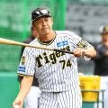 【阪神】藤本総合コーチらが今季導入の「統一ベース」に言及「本人の感覚が一番大事」